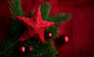 Més informació sobre l'article Decàleg per a un Nadal responsable
