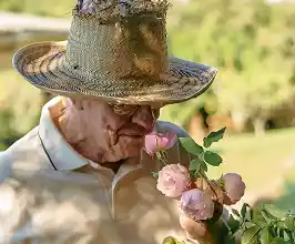 Home gran olorant roses al jardí